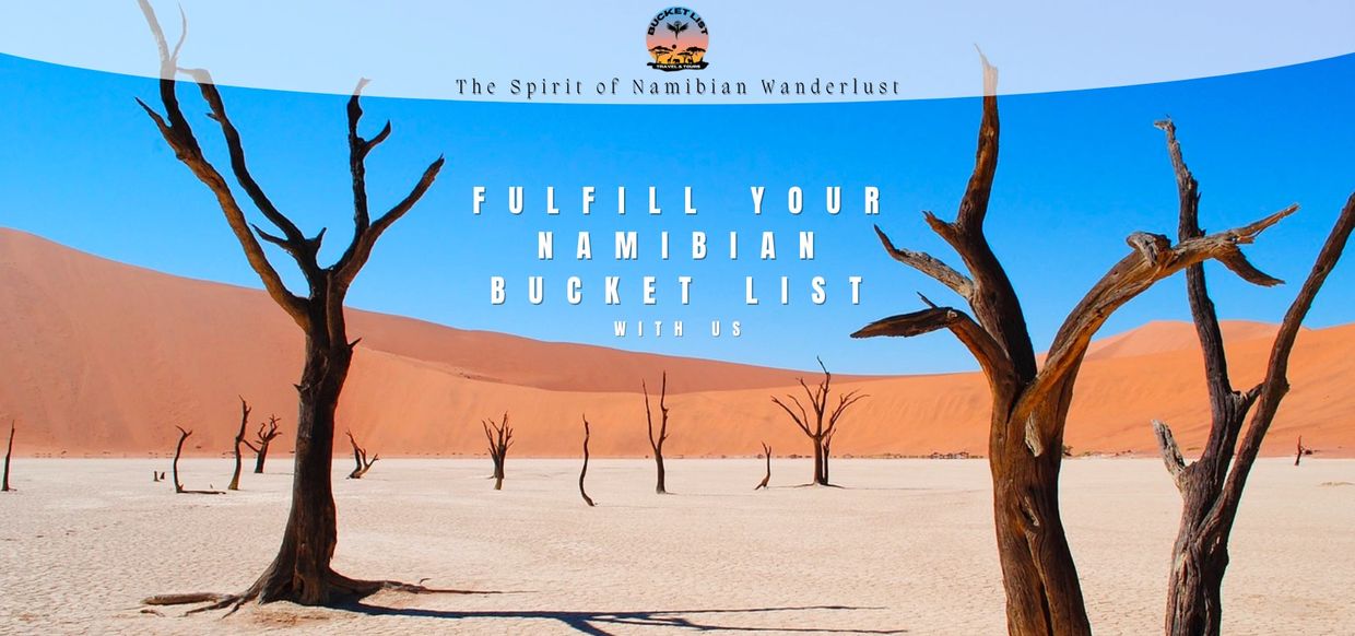 Trusted Tour Operator Bucket List Travel and Tours